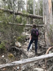 Dr Tierney bushwalking